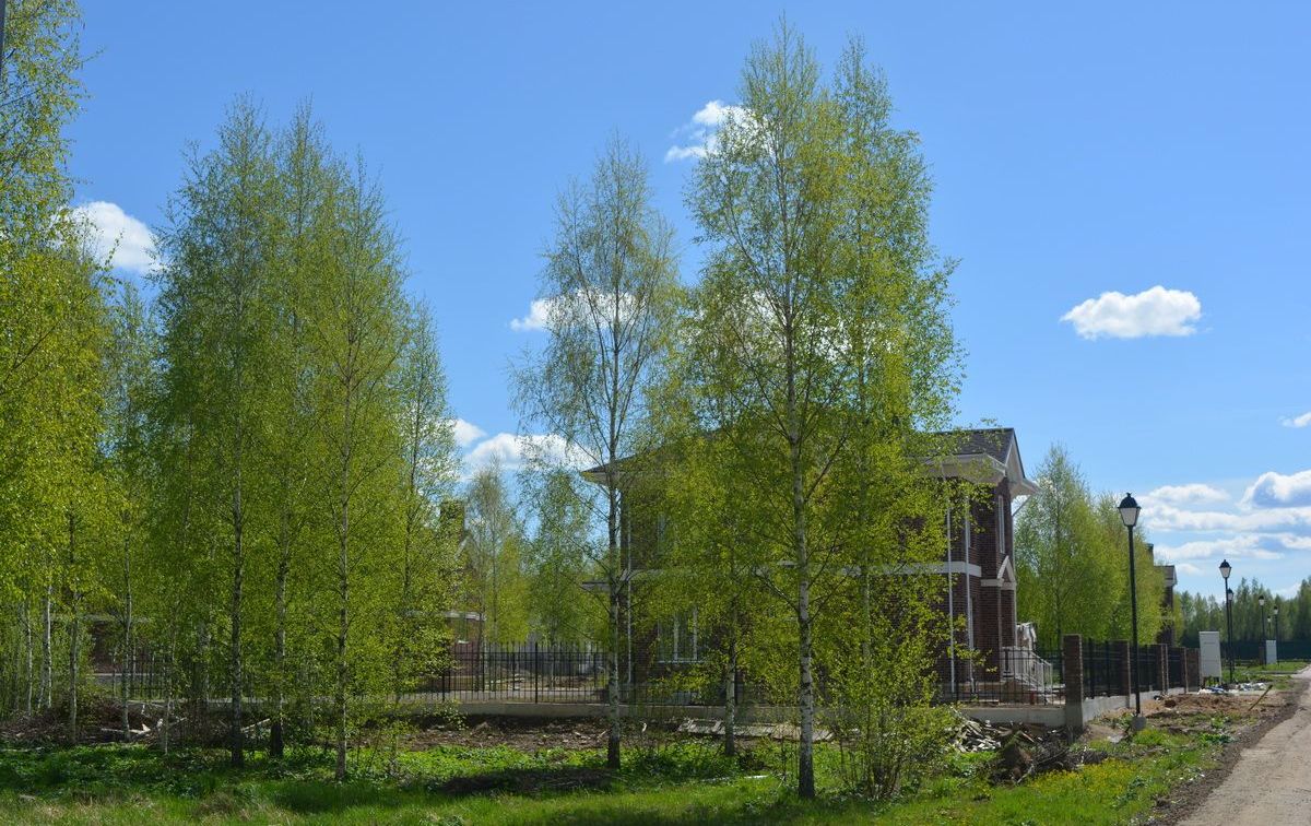 DSC_0626_новый размер.JPG