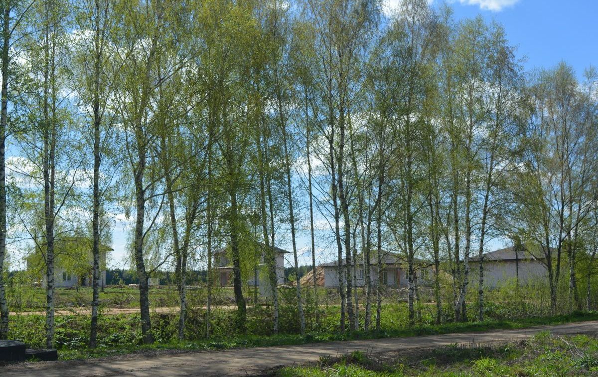 DSC_0608_новый размер.JPG