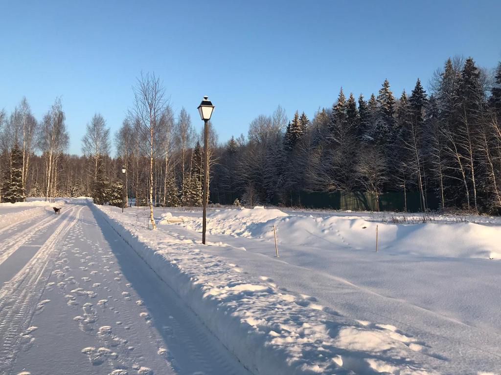 WhatsApp Image 2021-01-12 at 10.16.31 (5).jpeg