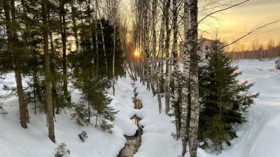 Март-апрель 2022