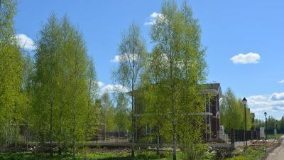 DSC_0626_новый размер.JPG