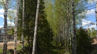 DSC_0623_новый размер.JPG