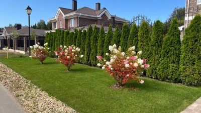 Май-август 2025